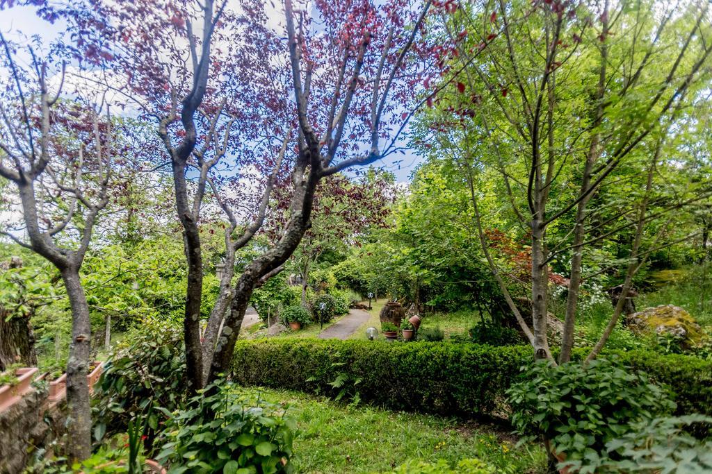 Il Boschetto Di Castagni Bed and Breakfast Soriano nel Cimino Exteriör bild